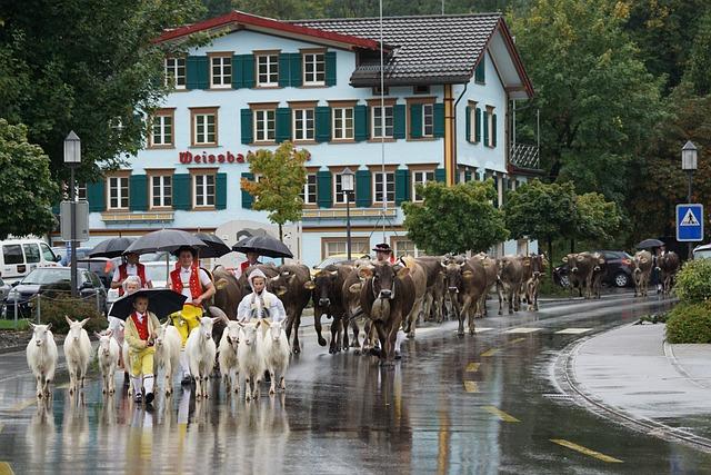 Možnosti využití odpočtů a slev při zdaňování příjmů OSVČ