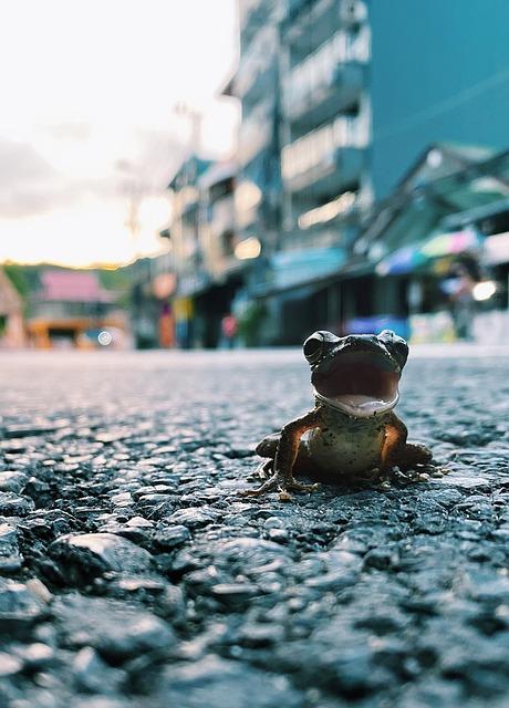 Jak použít nástroj Screaming Frog k analýze struktury URL vašeho webu