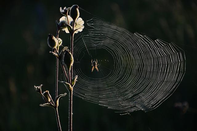 Chyby, které je třeba při používání dedukce ve firmě vyvarovat