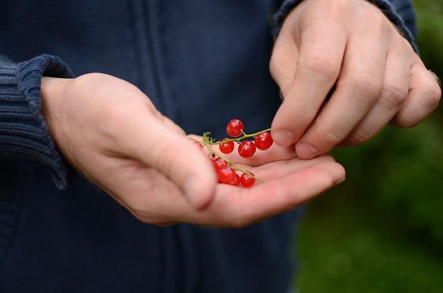 Důležité Kroky Při Provádění Inventarizace Majetku