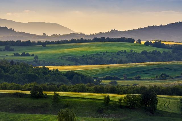 Role kvalitního řízení pracovních sil ve zvyšování ziskovosti