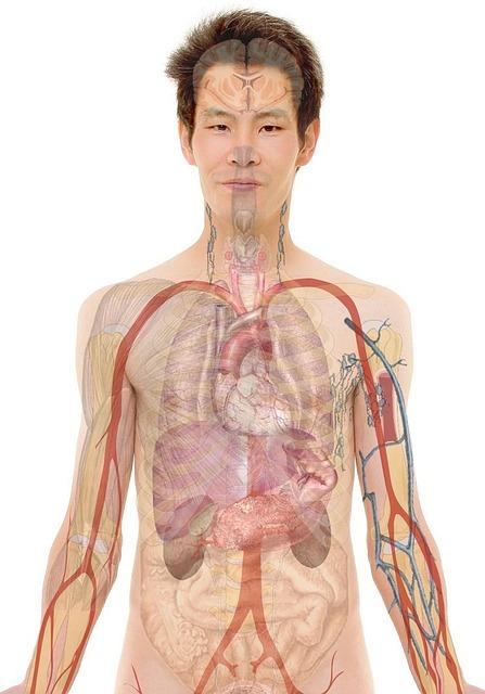 Klíčové body k zohlednění při přípravě na daňové přiznání